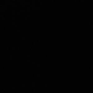 Meet your Posher, Connor